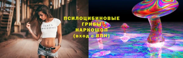 гидра Строитель