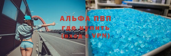 стаф Белокуриха