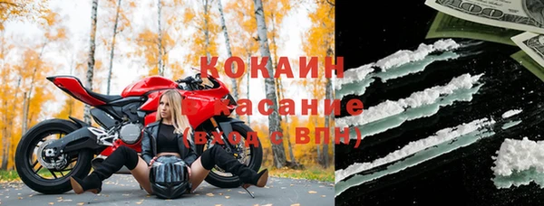стаф Белокуриха