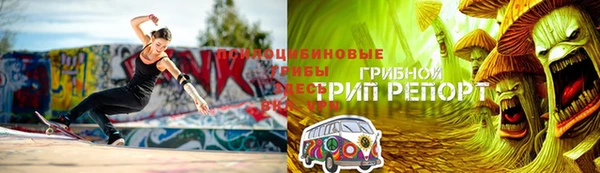 стаф Белокуриха